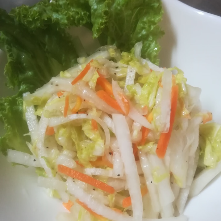 白菜と根菜のさっぱりサラダ